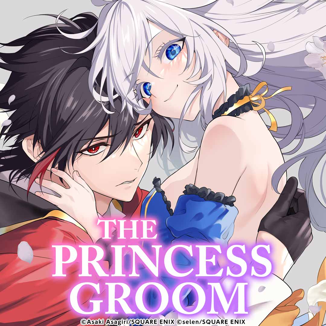 THE PRINCESS GROOM