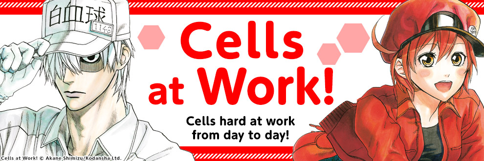 Cells at Work!! Official USA Website