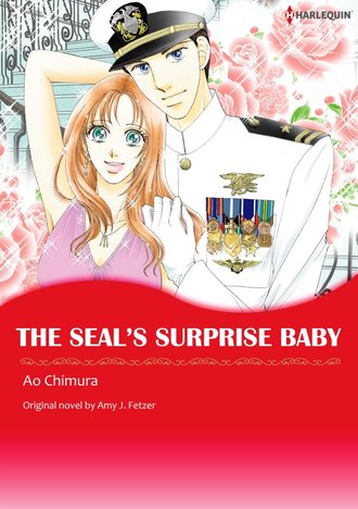 THE SEAL'S SURPRISE BABY