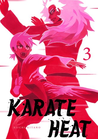 Karate Heat #23