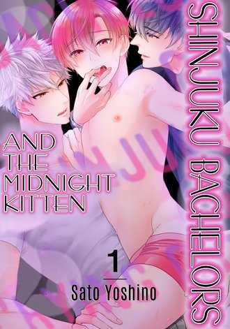 Shinjuku Bachelors and the Midnight Kitten