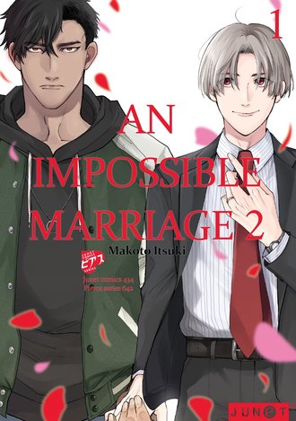 An Impossible Marriage 2