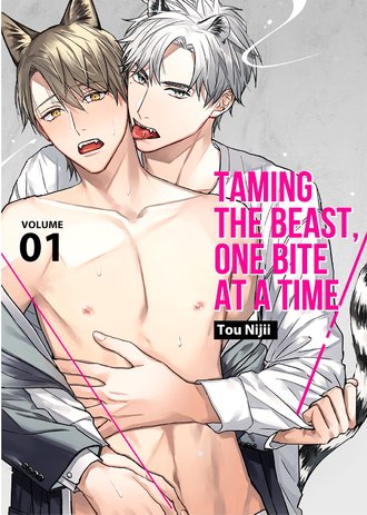 Taming the Beast, One Bite at a Time