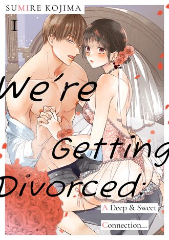 We're Getting Divorced: A Deep & Sweet Connection...