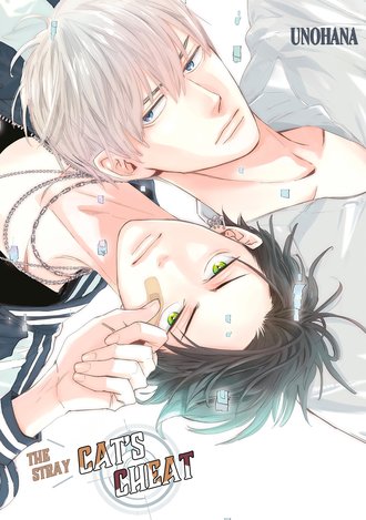 The Stray Cat's Cheat #3