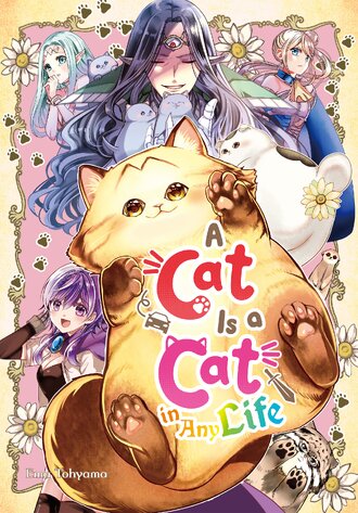 A CAT IS A CAT IN ANY LIFE #1