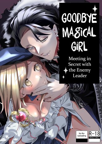Goodbye Magical Girl