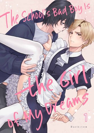 The School's Bad Boy Is the Girl of My Dreams