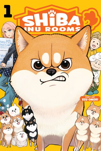 Shiba Inu Rooms #1
