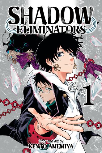 Shadow Eliminators