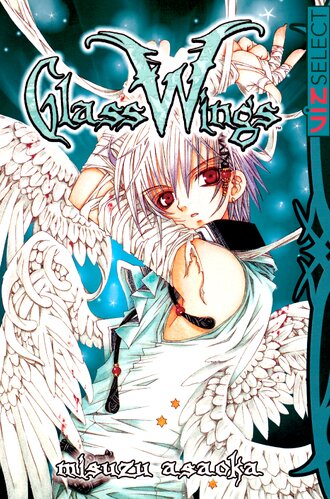 Glass Wings #1